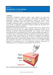 Bioabbaubare in-situ Systeme - Pharmazie-Lehrbuch