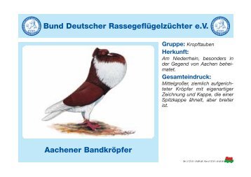 Kurzbeschreibung von Taubenrassen - KLZV Reischenau