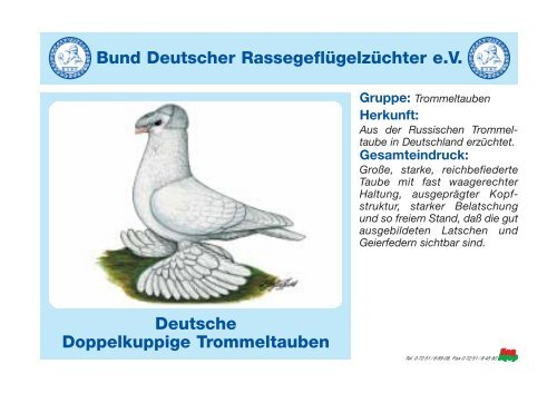 Kurzbeschreibung von Taubenrassen - KLZV Reischenau