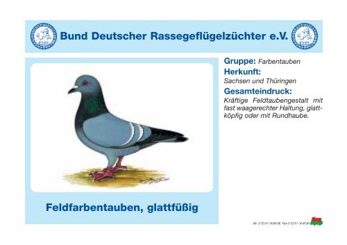 Kurzbeschreibung von Taubenrassen - KLZV Reischenau