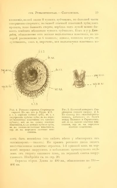 Berg-1911, fish v. 1.pdf - Eco - Tiras