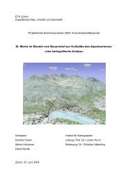 Bericht, pdf - ETH Zürich