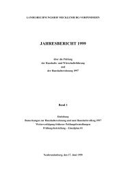 jahresbericht 1999 - Landesrechnungshof Mecklenburg-Vorpommern