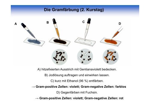 Vorbesprechung 1. Tag - Mikrobiologie und Weinforschung