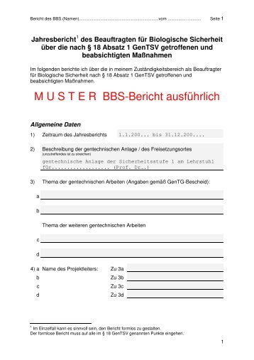 Muster Jahresbericht BBS ausführlich