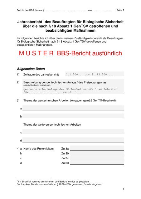 Muster Jahresbericht BBS Ausführlich