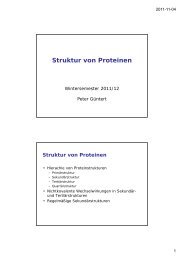 Struktur von Proteinen