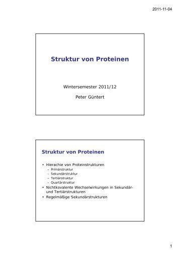 Struktur von Proteinen