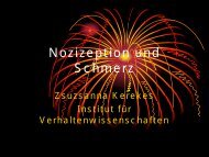 Nozizeption und Schmerz