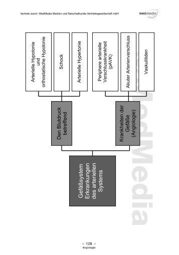 Arterielles System als pdf