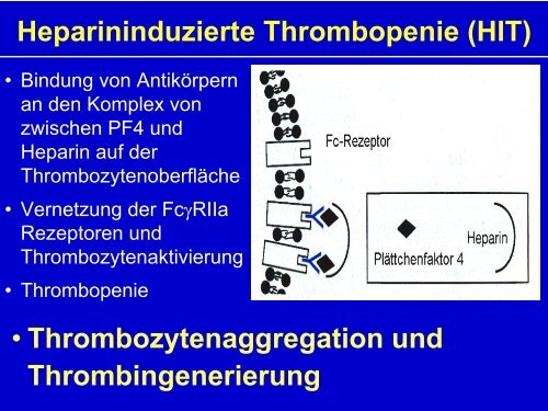 Hämostaseologie II - Hämatologie und Onkologie Rostock