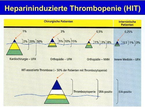 Hämostaseologie II - Hämatologie und Onkologie Rostock