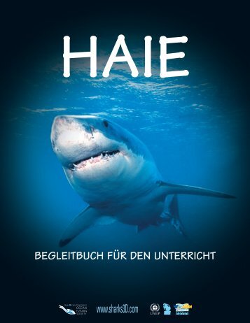 HAIE - Sharks 3D