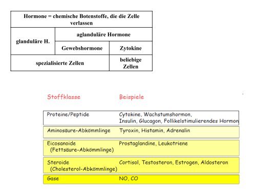 Rezeptoren