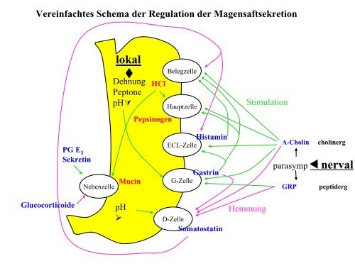 Rezeptoren