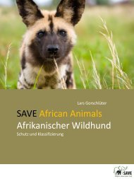Afrikanischer Wildhund - SAVE Wildlife Conservation Fund