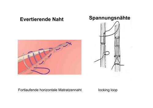 Faden und Knotenlehre