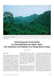Die Amphibien und Reptilien von Phong Nha-Ke Bang