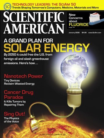 Scientific American - 2008.01 - A Grand Plan For Solar - Delta Force