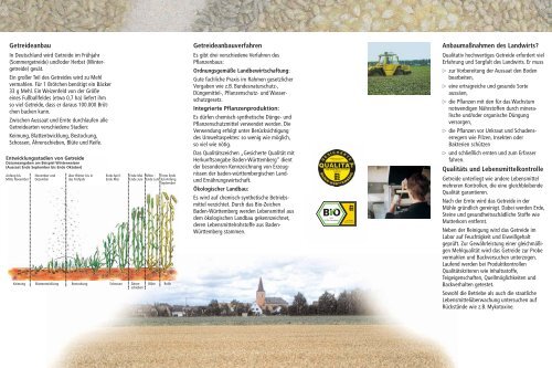 Vom Feld zur Mühle - Infodienst - Landwirtschaft, Ernährung ...