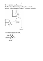 5. Polyketide und Makrolide - Chemie