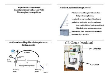 CE-Gerät (modular)