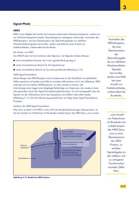 Biologische Therapien und Krebs - the European Oncology Nursing ...