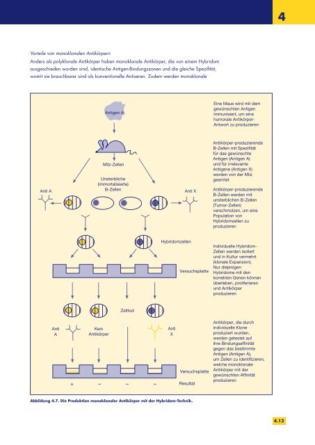 Biologische Therapien und Krebs - the European Oncology Nursing ...