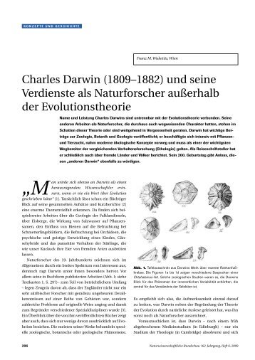 pdf-Datei zum Downloaden - Naturwissenschaftliche Rundschau