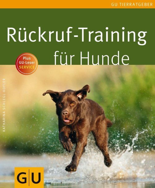 Rückruf-Training