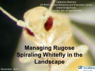 Managing the Rugose Spiraling Whitefly - Tropical Research and ...