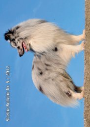 1 - Frontseite - Sheltie Club