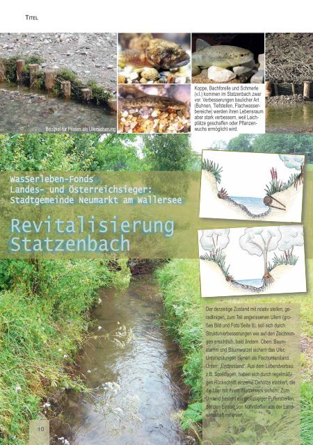 WasSerleben-Fonds fördert Projekte an ... - Naturschutzbund