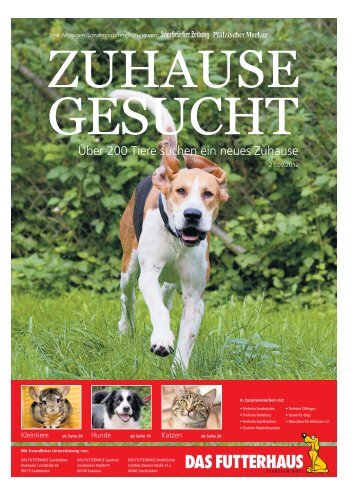 Zuhause gesucht