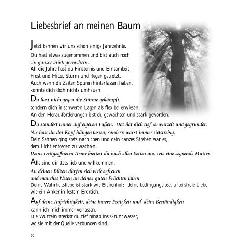 Untitled - Armin-Brech.de