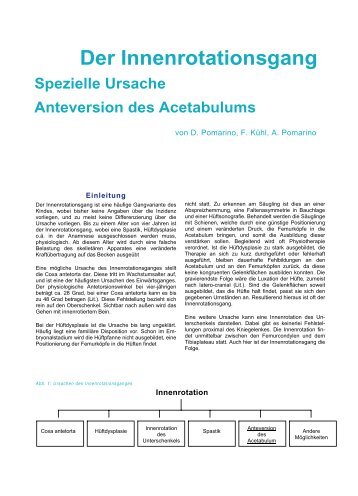 Der Innenrotationsgang - Forschung und Publikationen zum ...