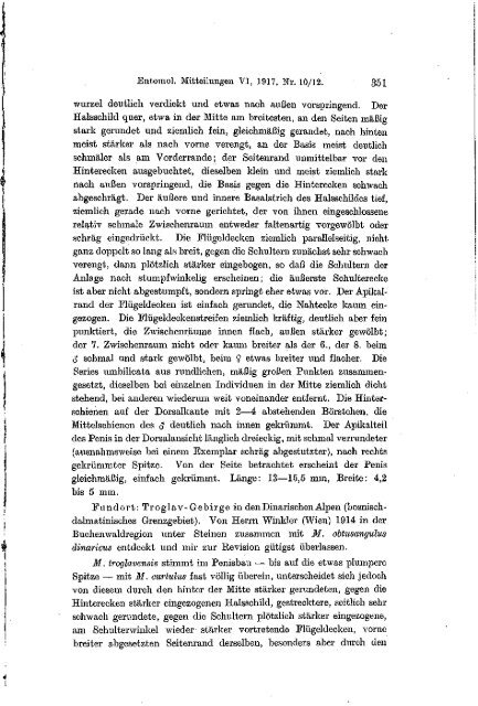 Zur Kenntnis der Gattung Molops (Coleopt., Carab.).