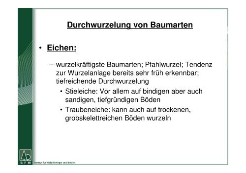 Einfluss der Baumart auf den Wasserhaushalt von Böden - BFW