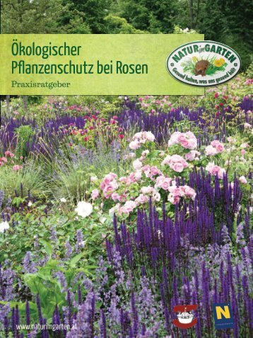 Ökologischer Pflanzenschutz bei Rosen - Natur im Garten