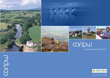 through the waters of time - Carlow Tourism