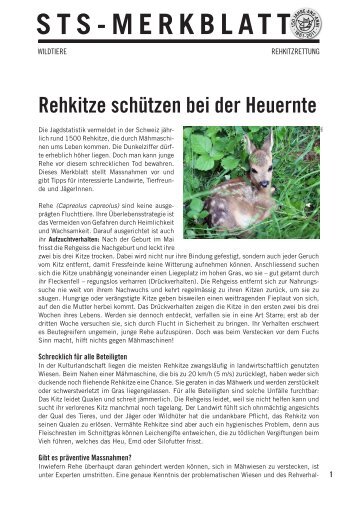 Rehkitze schützen bei der Heuernte - Schweizer Tierschutz STS