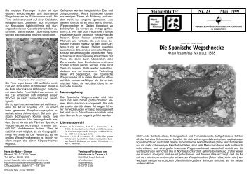 Blatt 5.1999 - die Spanische Wegschnecke Arion lusitanicus - Cismar