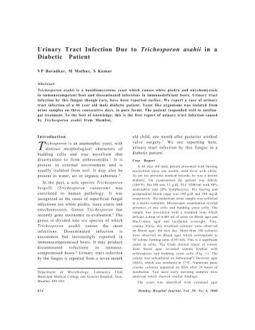 Urinary Tract Infection Due to Trichosporon asahii in a ... - bhj.org.in