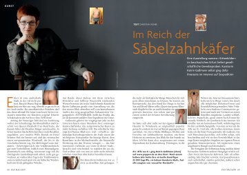 068-070 Sittenbilder:*vorlage_standard - katrin gassmann