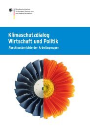 Abschlussberichte der Arbeitsgruppen - BMU