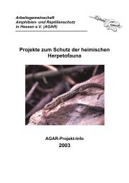 Projekt-Info 2003 - AGAR