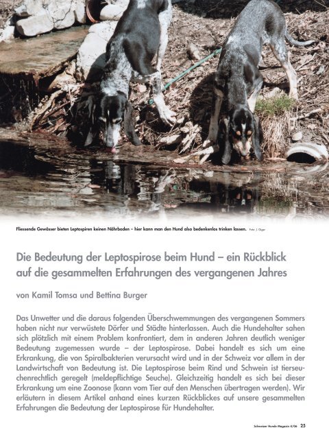 Leptospirose - Schweizer Hunde Magazin