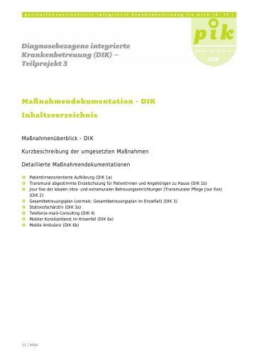 Maßnahmendokumentation - DIK Inhaltsverzeichnis ... - PIK