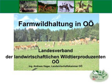 Wildhaltung Einstiegsinformation - Arbeitsgemeinschaft ...