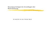 Neuropsychologische Grundlagen der Wahrnehmung